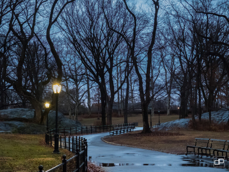 Park path at dusk with wet pavement, bare trees overhead, and glowing street lamps along a railinged walkway.