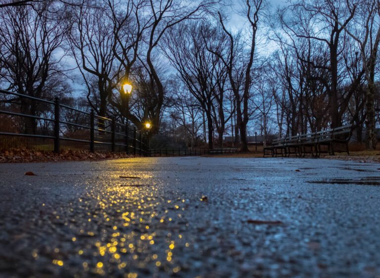 A wet park path at dusk with bare trees and glowing street lamps along a black metal fence on the left and benches on the right.