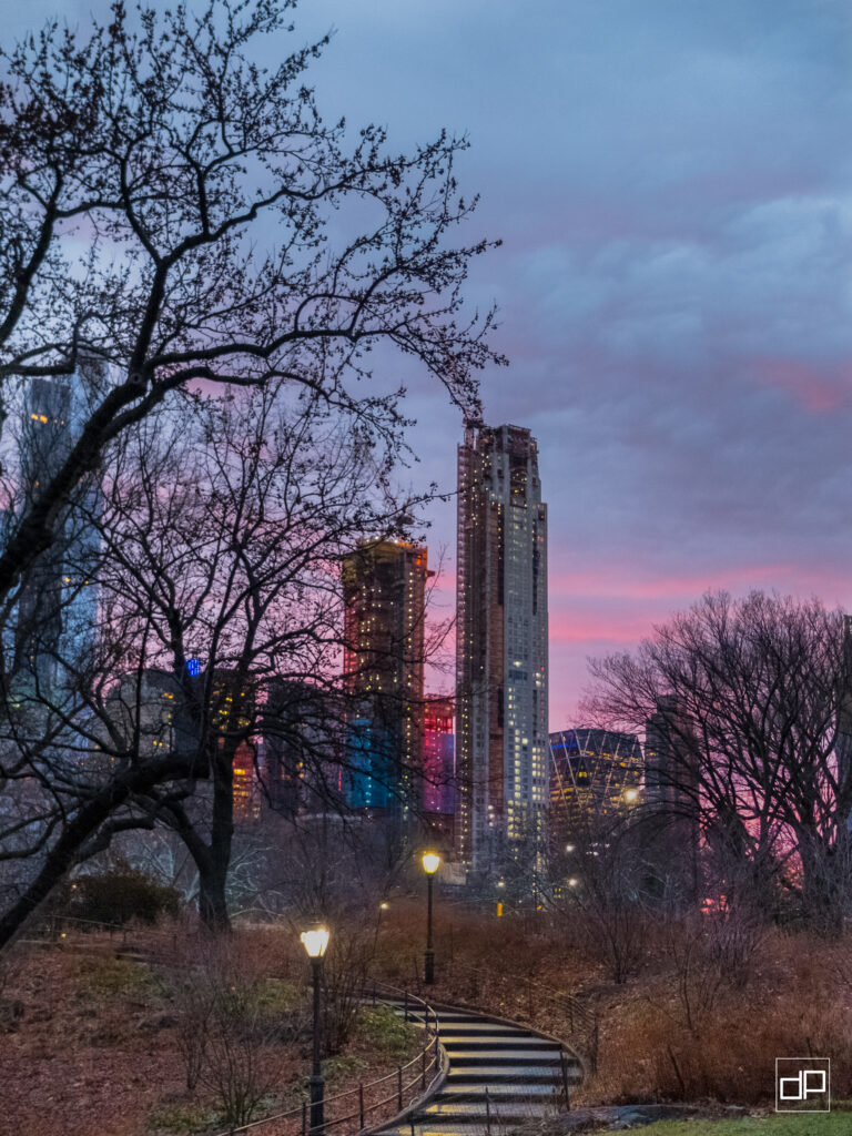 Winding park path with lampposts curves through a leafless wooded area, with tall illuminated skyscrapers against a pink and blue sunset sky.