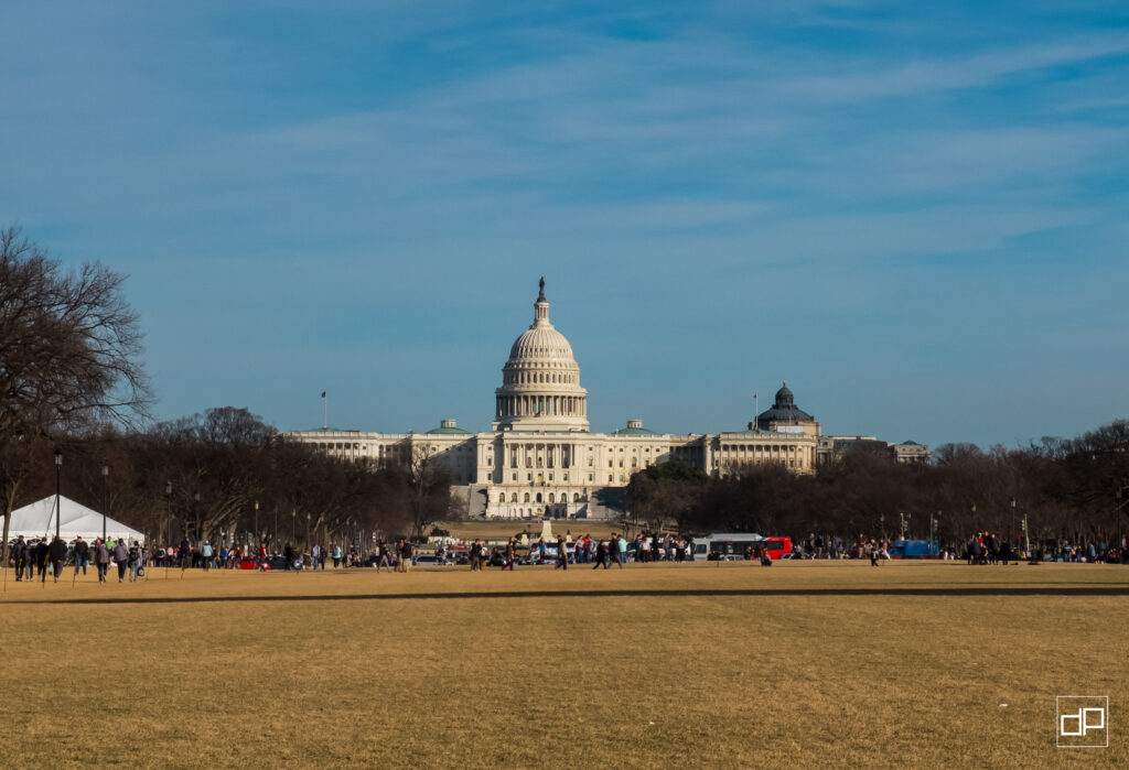 Crowd of people walking on a grassy foreground with the U.S. Capitol dome visible in the distance under a blue sky.