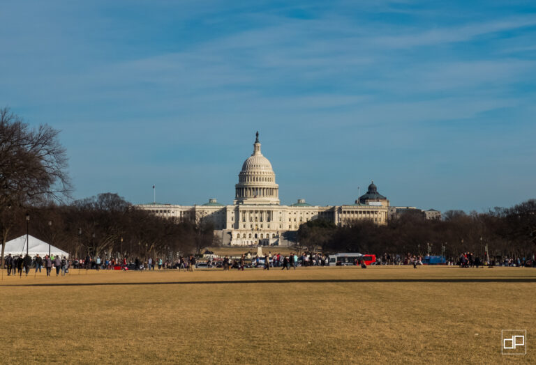 Crowd of people walking on a grassy foreground with the U.S. Capitol dome visible in the distance under a blue sky.