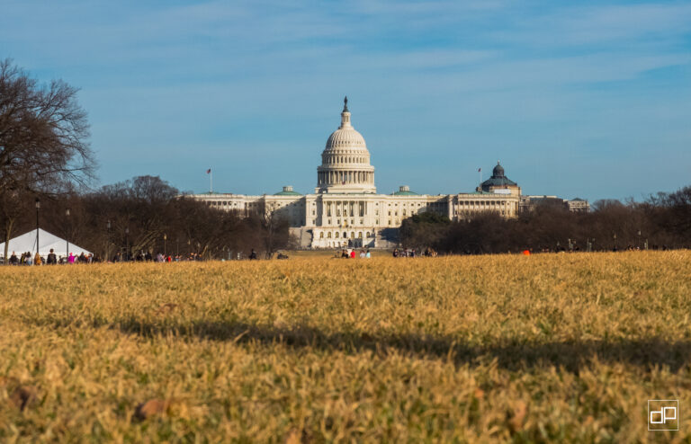 Wide view of the U.S. Capitol with its dome centered, visitors on the grassy National Mall foreground and bare trees to the sides under a blue sky.