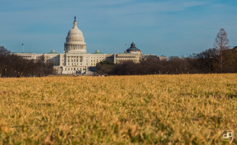 Wide view of the U.S. Capitol dome visible in distance, with a golden field in the foreground and a clear blue sky.