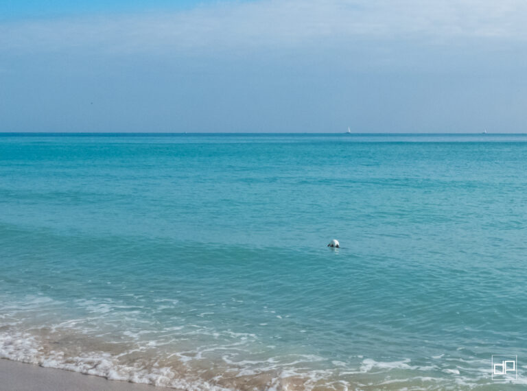 Turquoise ocean washes onto a sandy beach under a blue sky; distant white sailboats on the horizon and a small watermark in the bottom-right corner.