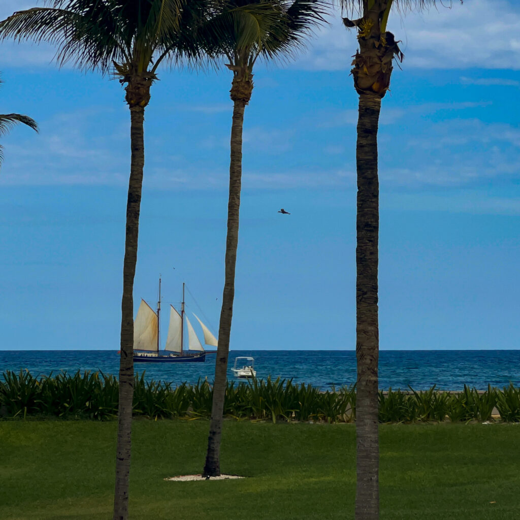 Palm trees line a grassy foreground with a blue sea and a white-sailed boat on the horizon.