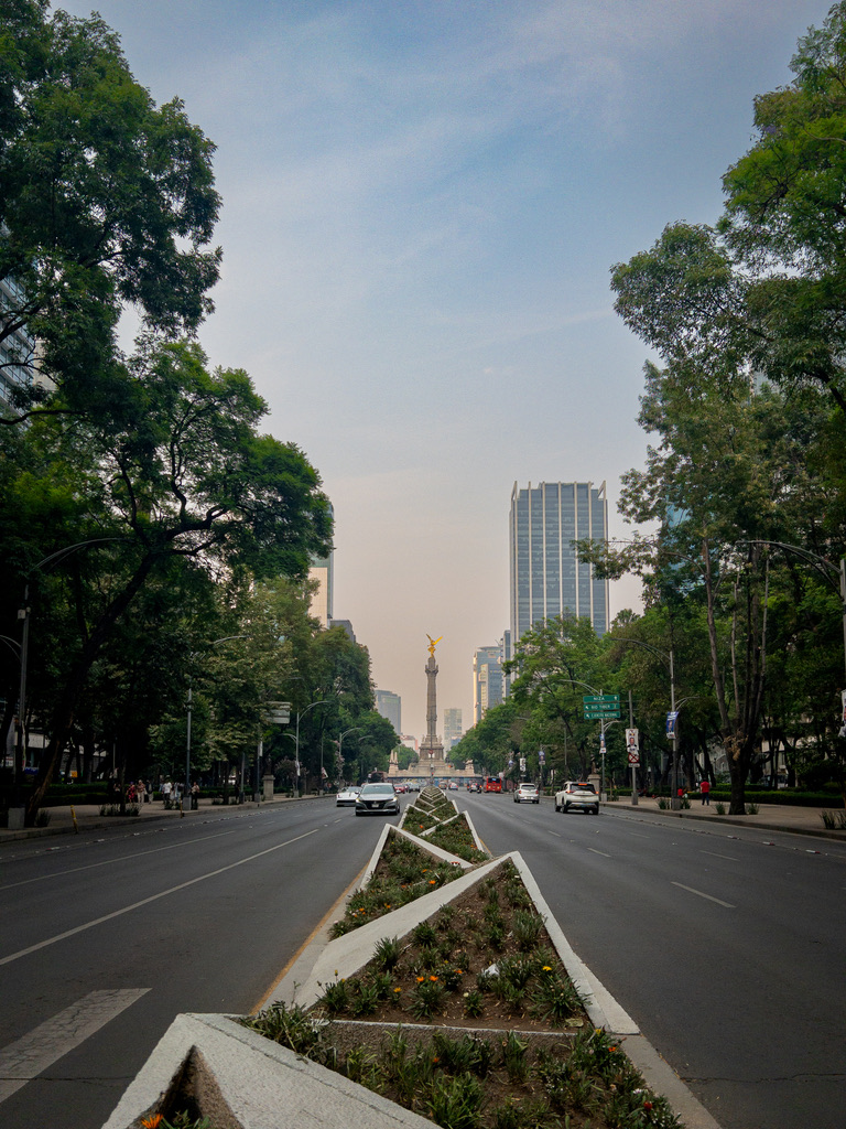 Wide city street with triangular planter medians leading to a monument in the distance, flanked by trees and tall buildings on a sunny day